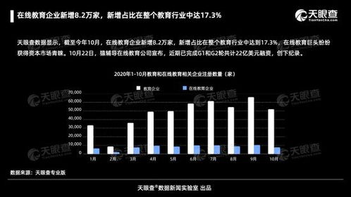 在線教育行業(yè)迅猛擴(kuò)張 截至十月新增8.2萬家企業(yè)，占比達(dá)行業(yè)17%
